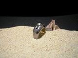 diamont